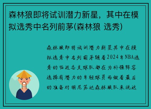 森林狼即将试训潜力新星，其中在模拟选秀中名列前茅(森林狼 选秀)