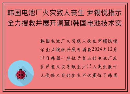 韩国电池厂火灾致人丧生 尹锡悦指示全力搜救并展开调查(韩国电池技术实力)